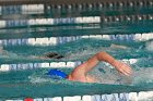 Swimming vs Babson  Wheaton College Swimming vs Babson College. - Photo By: KEITH NORDSTROM : Wheaton, Swimming, Babson